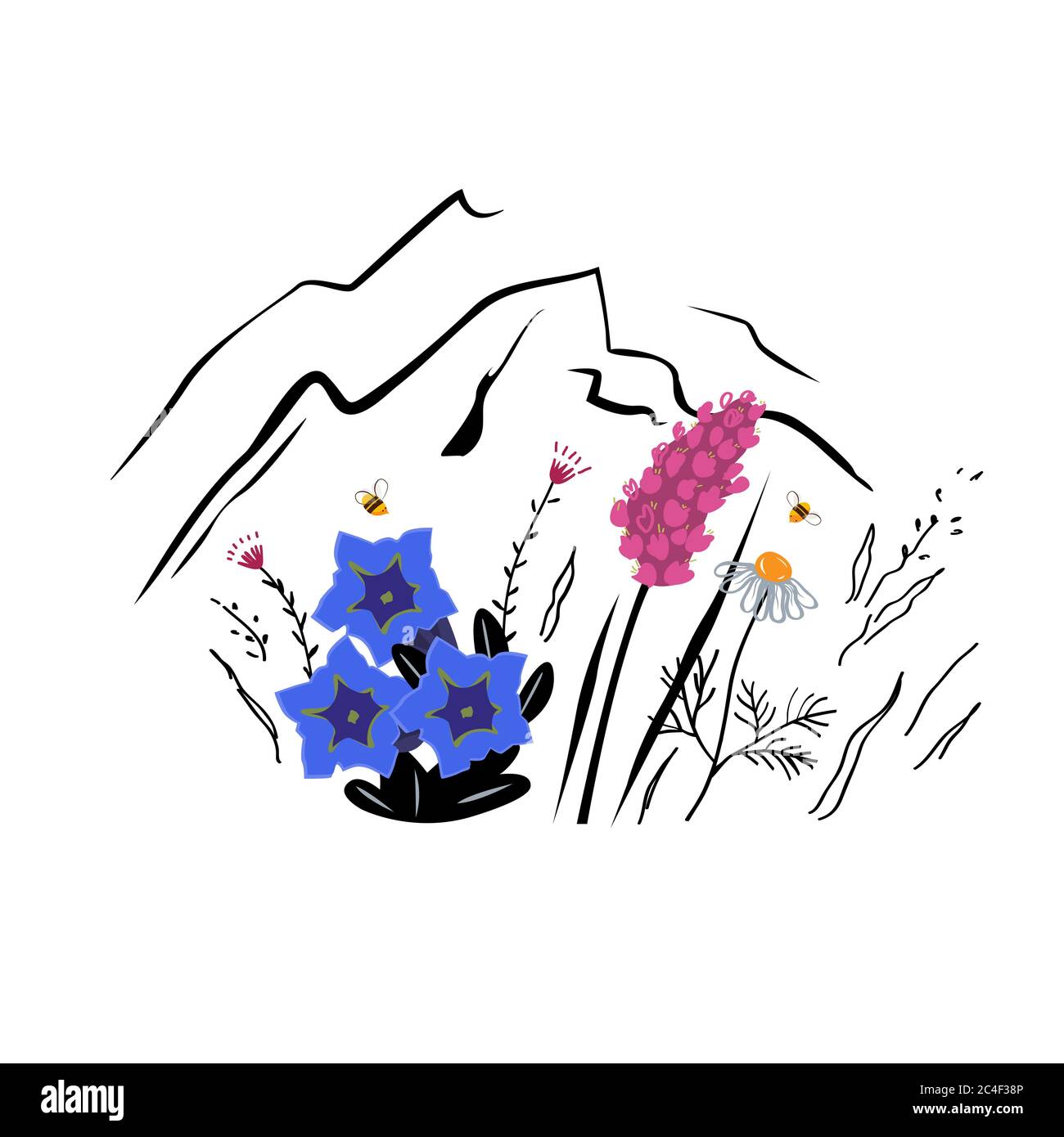 Illustrazione dello schizzo vettoriale dei fiori di montagna. Concetto di miele alpino Illustrazione Vettoriale