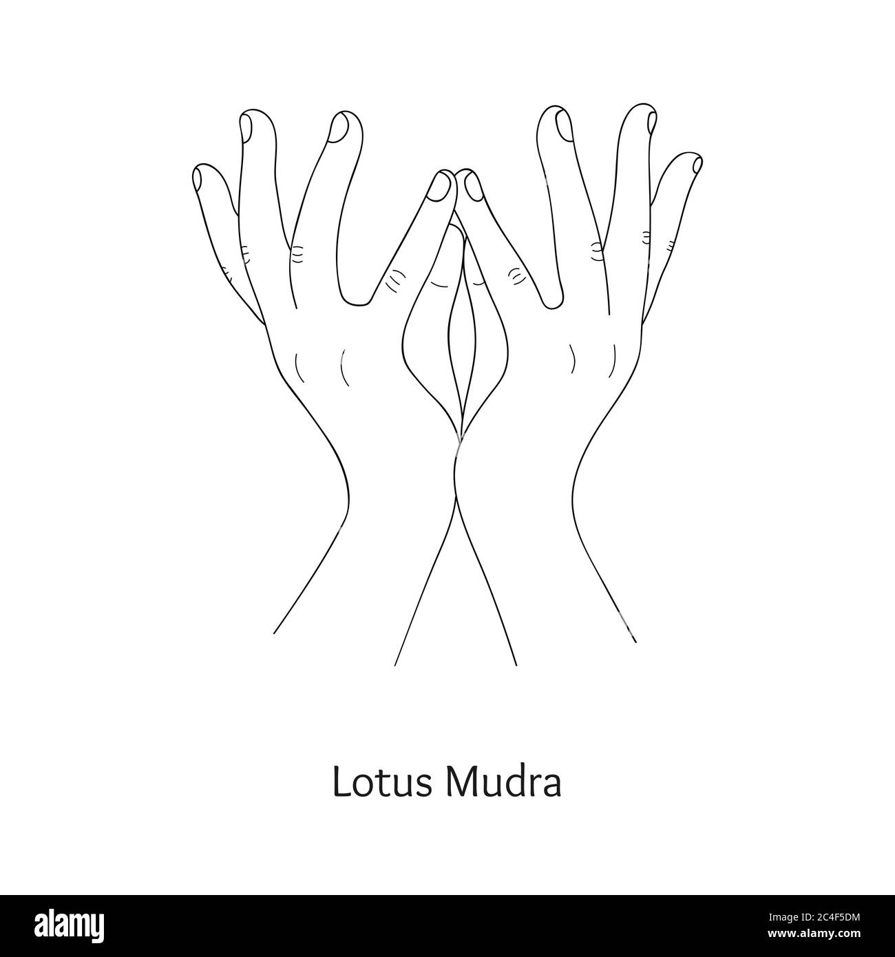 Padma Mudra / gesture di Lotus. Vettore. Illustrazione Vettoriale