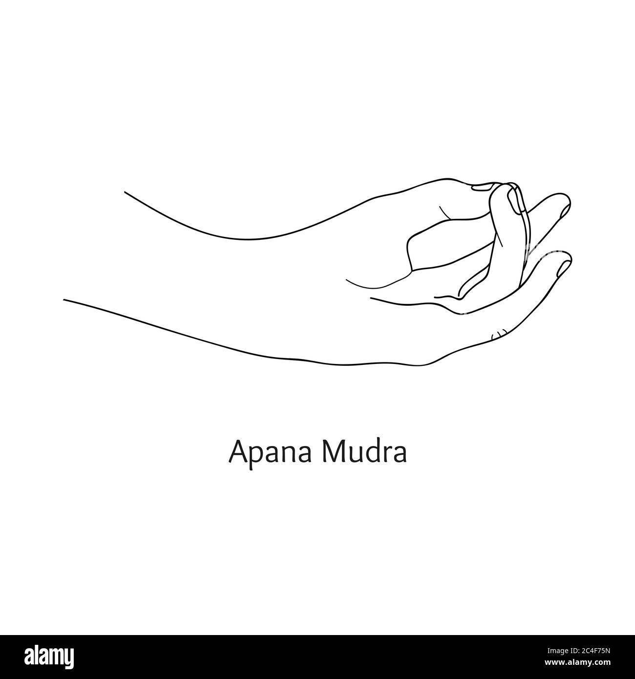 Apana Mudra / gesture of Life Force. Vettore. Illustrazione Vettoriale