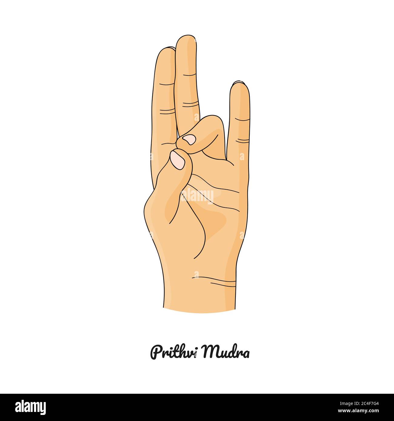 Prithvi Mudra / gesture della Terra. Vettore. Illustrazione Vettoriale