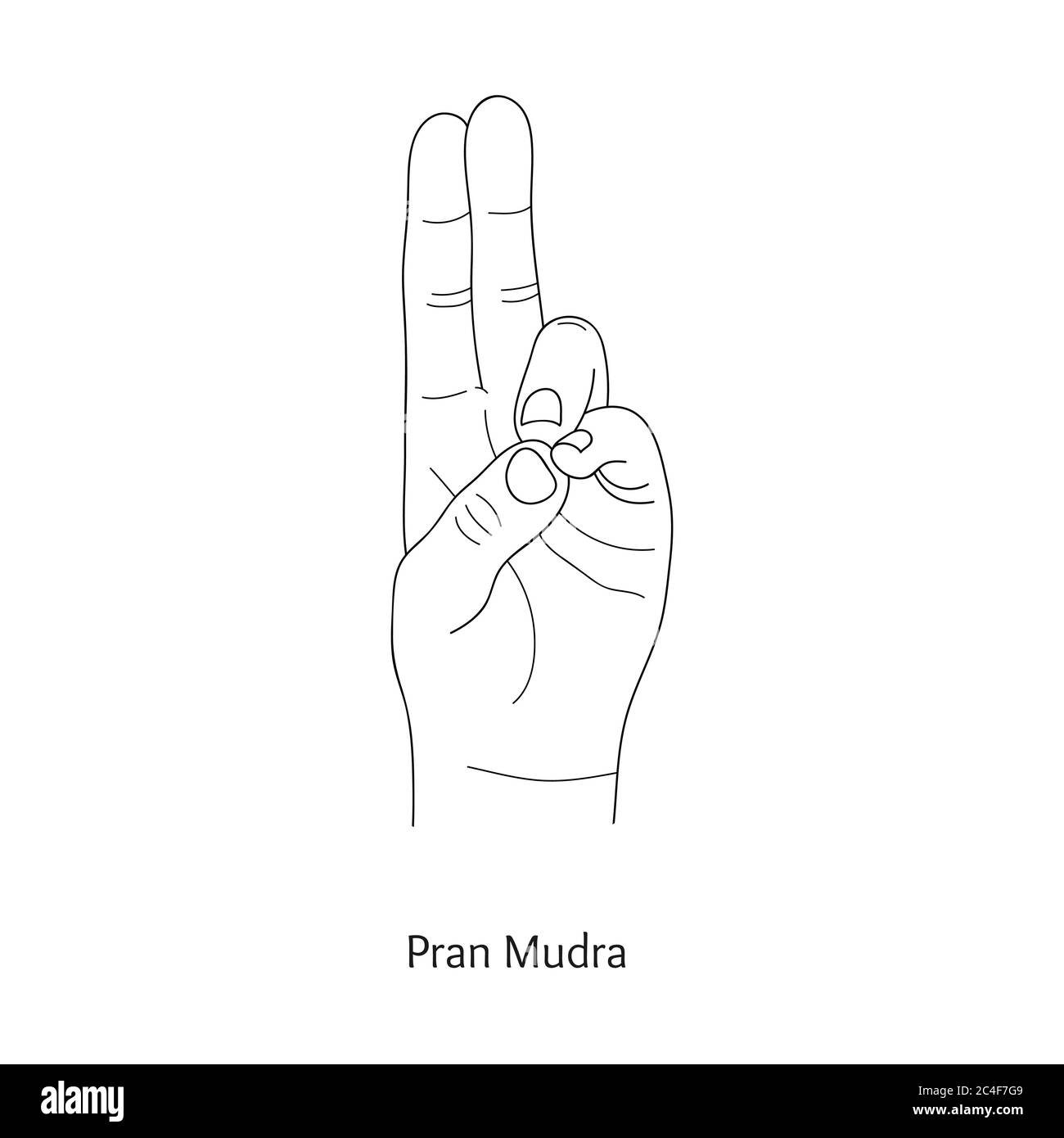 Pran Mudra / gesto della vita. Vettore. Illustrazione Vettoriale