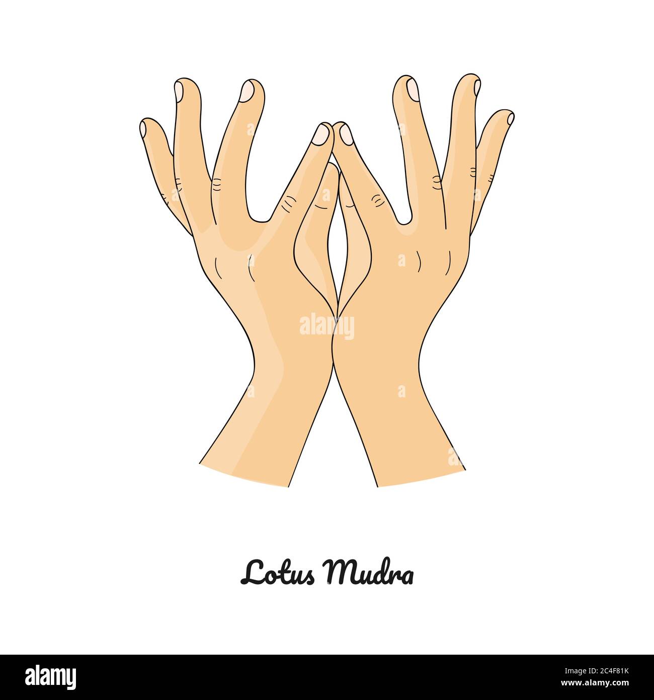 Padma Mudra / gesture di Lotus. Vettore. Illustrazione Vettoriale