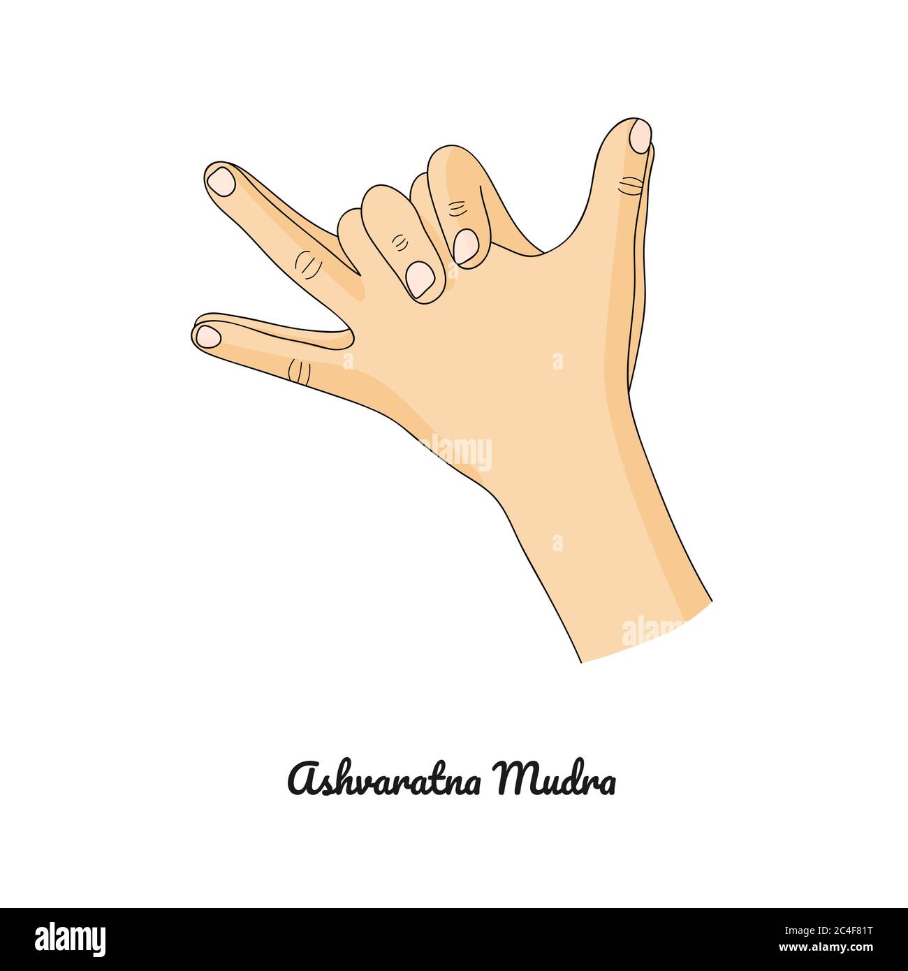 Ashvaratna Mudra / Gesture of Precious Horse. Vettore. Illustrazione Vettoriale