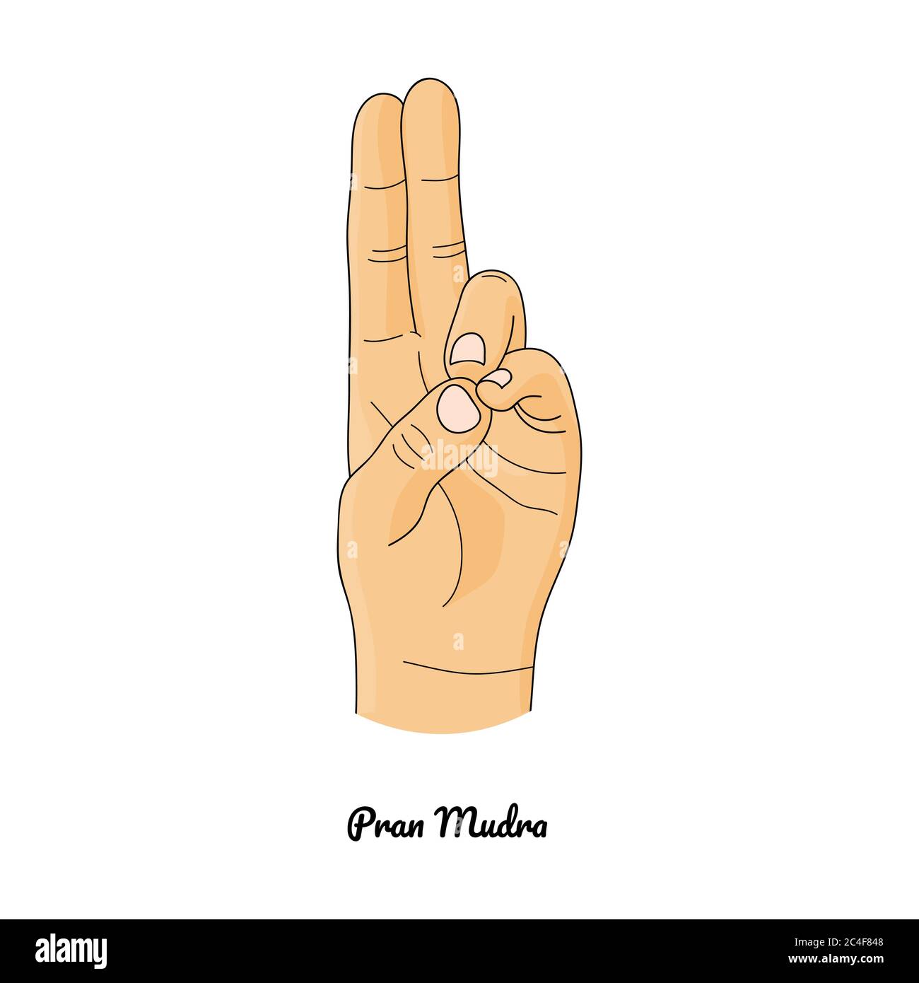 Pran Mudra / gesto della vita. Vettore. Illustrazione Vettoriale