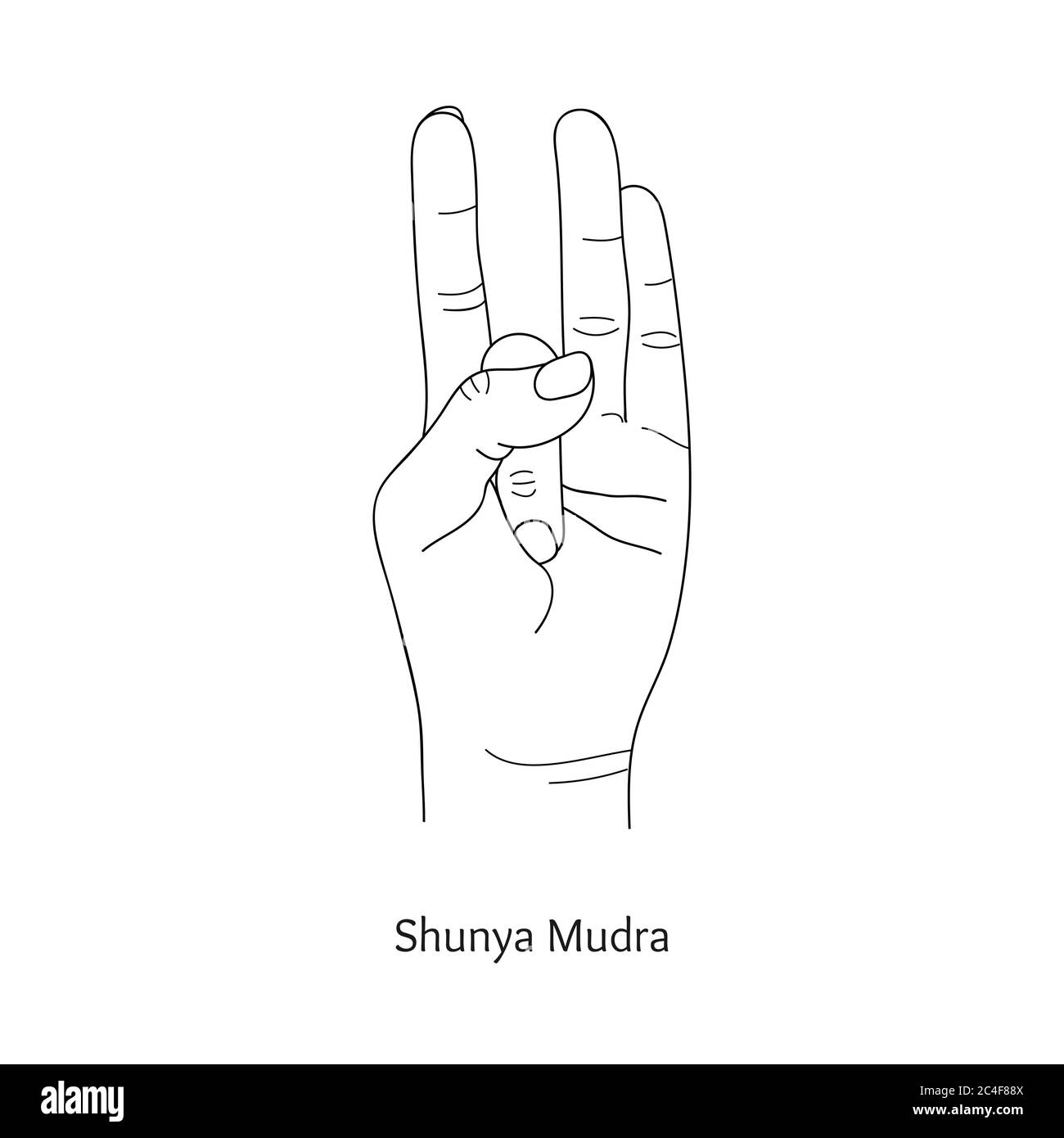 Shunya Mudra / Gesture of Emptiness. Vettore. Illustrazione Vettoriale