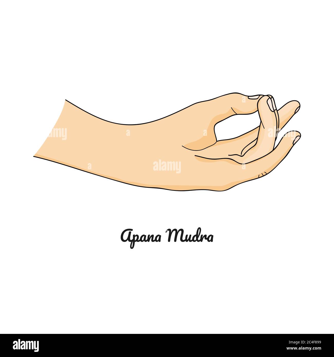 Apana Mudra / gesture of Life Force. Vettore. Illustrazione Vettoriale