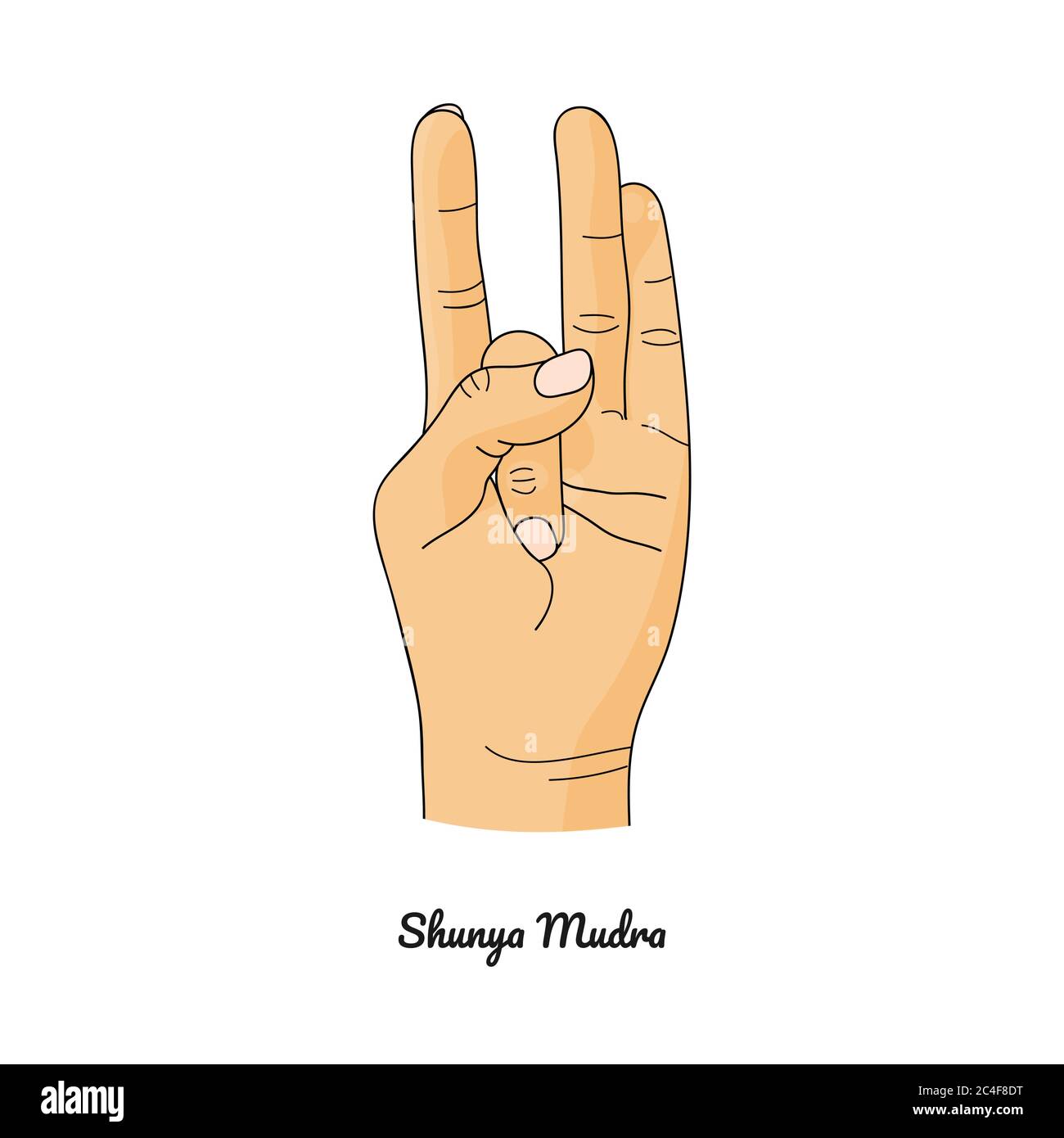 Shunya Mudra / Gesture of Emptiness. Vettore. Illustrazione Vettoriale