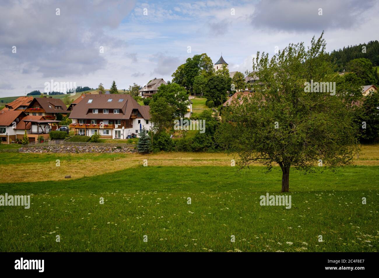 Vista sul pittoresco villaggio di Breitnau nella Foresta Nera alta vicino a Friburgo in estate, Baden-Württemberg sud-ovest della Germania. Foto Stock