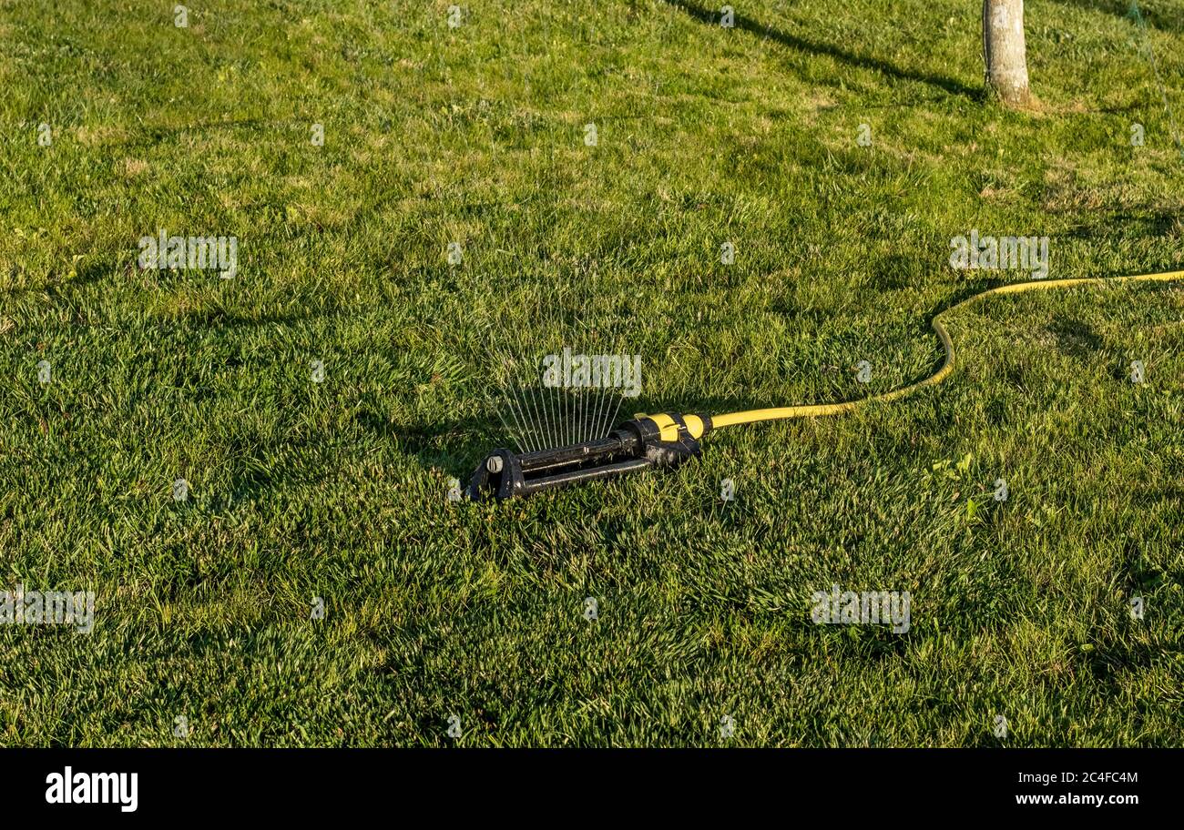 Innaffiare il prato in città con un irrigatore oscillante regolabile in estate. Un irrigatore oscillante con braccio in metallo, portatile ed efficiente, emette un getto d'acqua Foto Stock