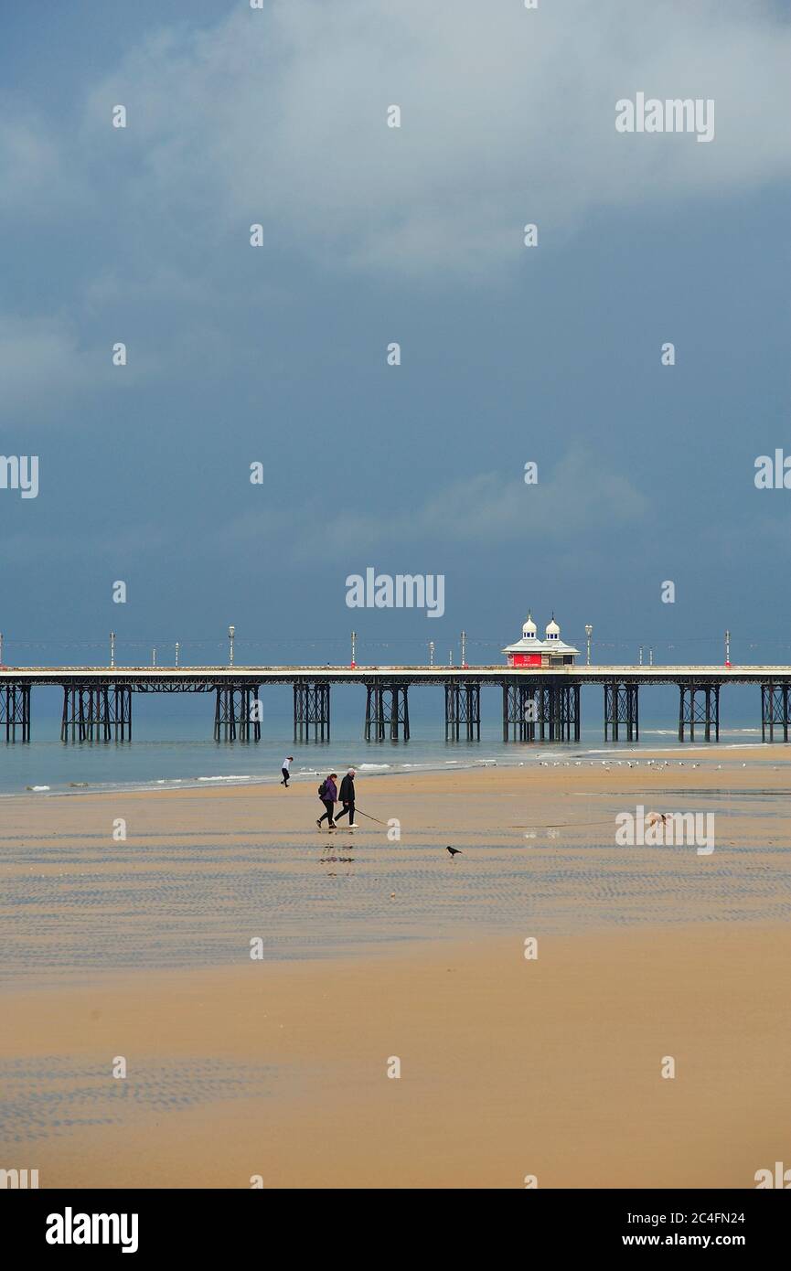 Coppia cane animale a piedi sulla spiaggia in condizioni di tempesta, Blackpool, UK Foto Stock