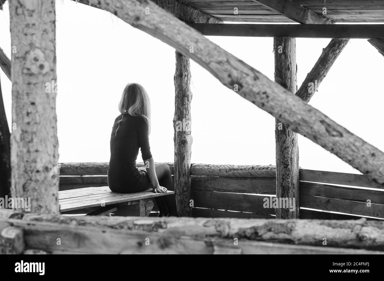 La ragazza da sola si siede presto al mattino in un giorno foggy in un albero di legno Foto Stock