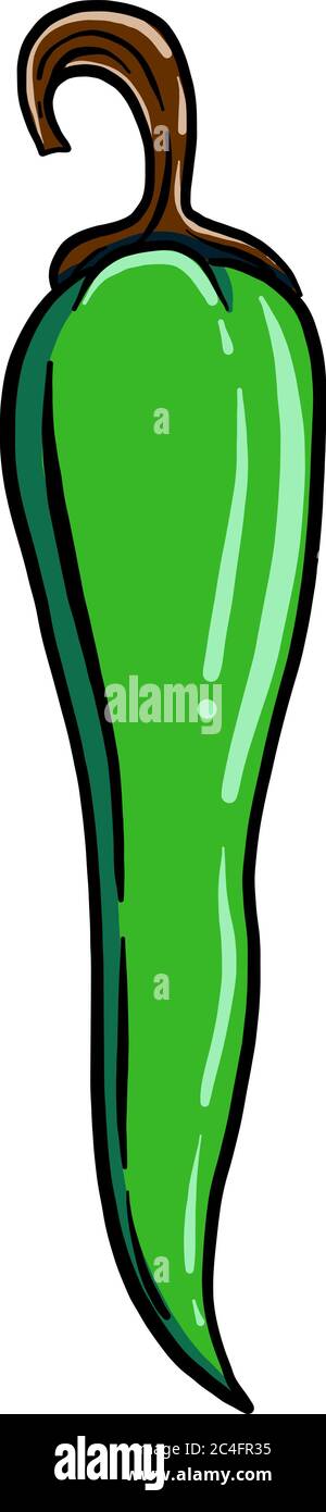 Pepe verde, illustrazione, vettore su sfondo bianco Illustrazione Vettoriale