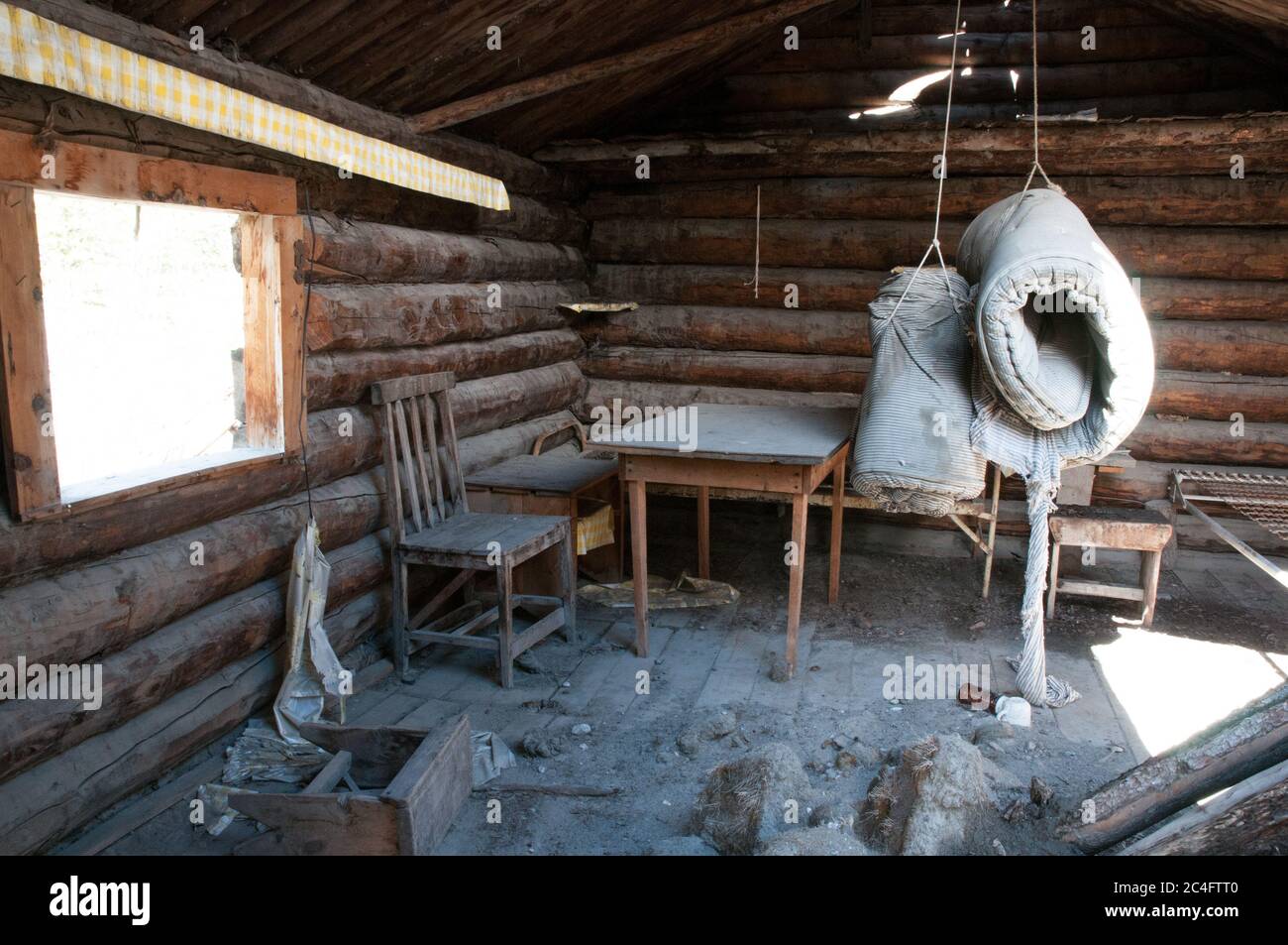 Una storica cabina abbandonata di legno di prospettore di epoca di Klondike Gold Rush nel Parco Nazionale di Kluane, territorio di Yukon, Canada. Foto Stock