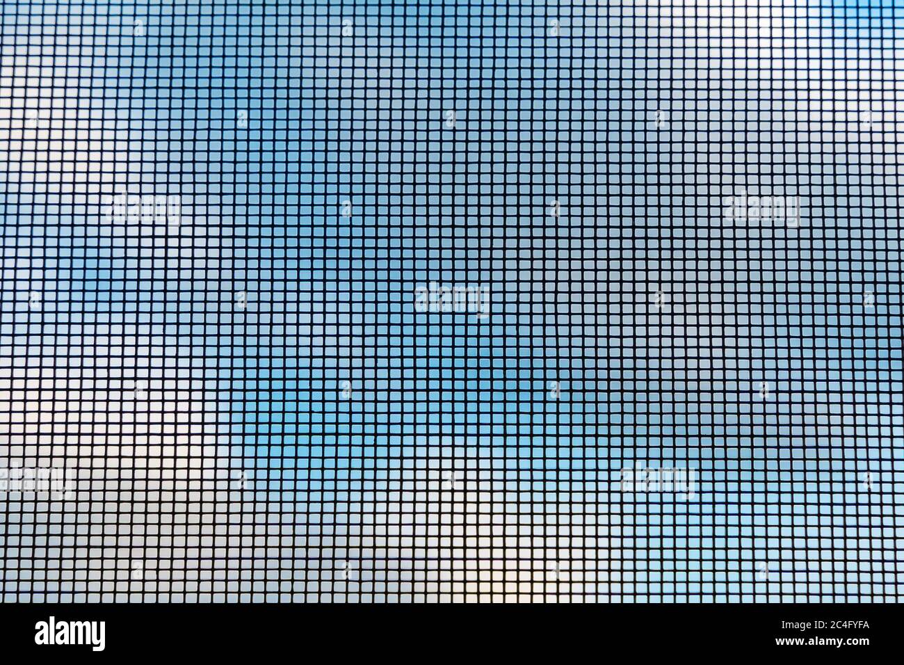 Rete di insetto protettiva contro il cielo. Splendido sfondo. Foto Stock