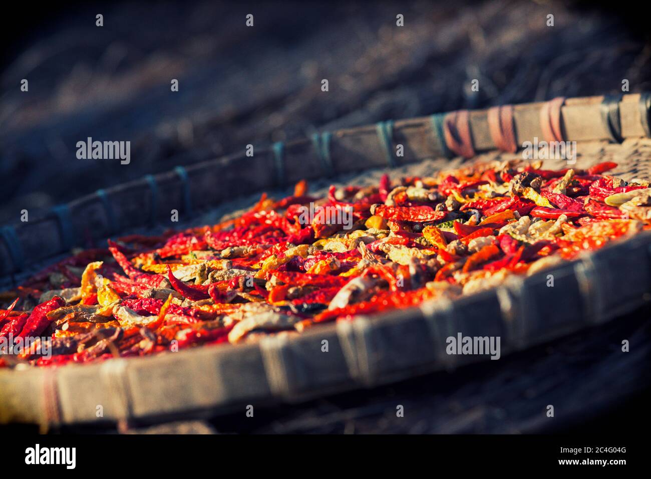 Peperone rosso caldo che asciuga al sole in un villaggio in Thailandia. Questa è una delle spezie più usate in cucina tailandese Foto Stock