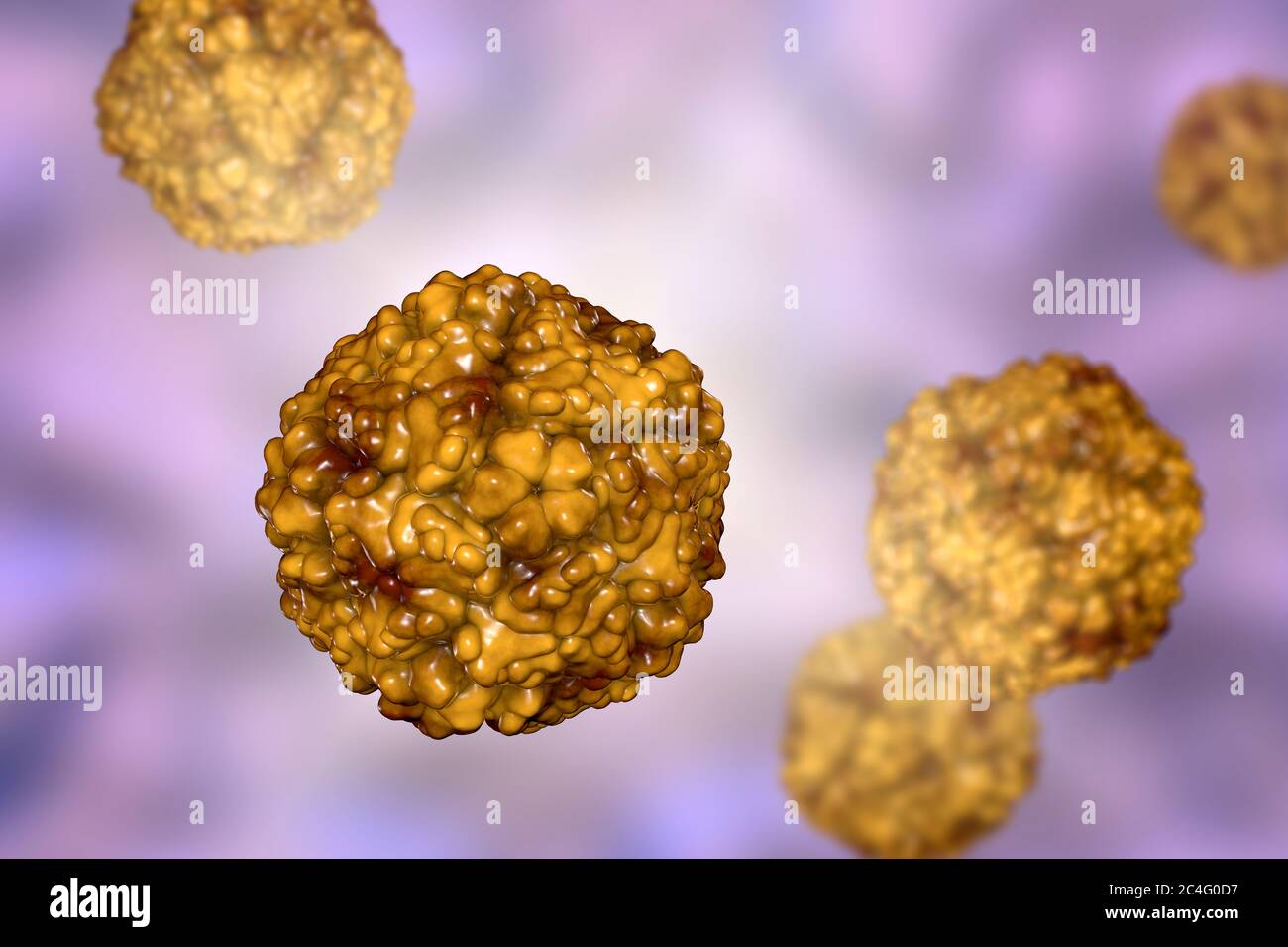 Enterovirus, illustrazione del computer. L'enterovirus è un genere di virus RNA di senso positivo della famiglia Picornaviridae. Erano originariamente classifi Foto Stock