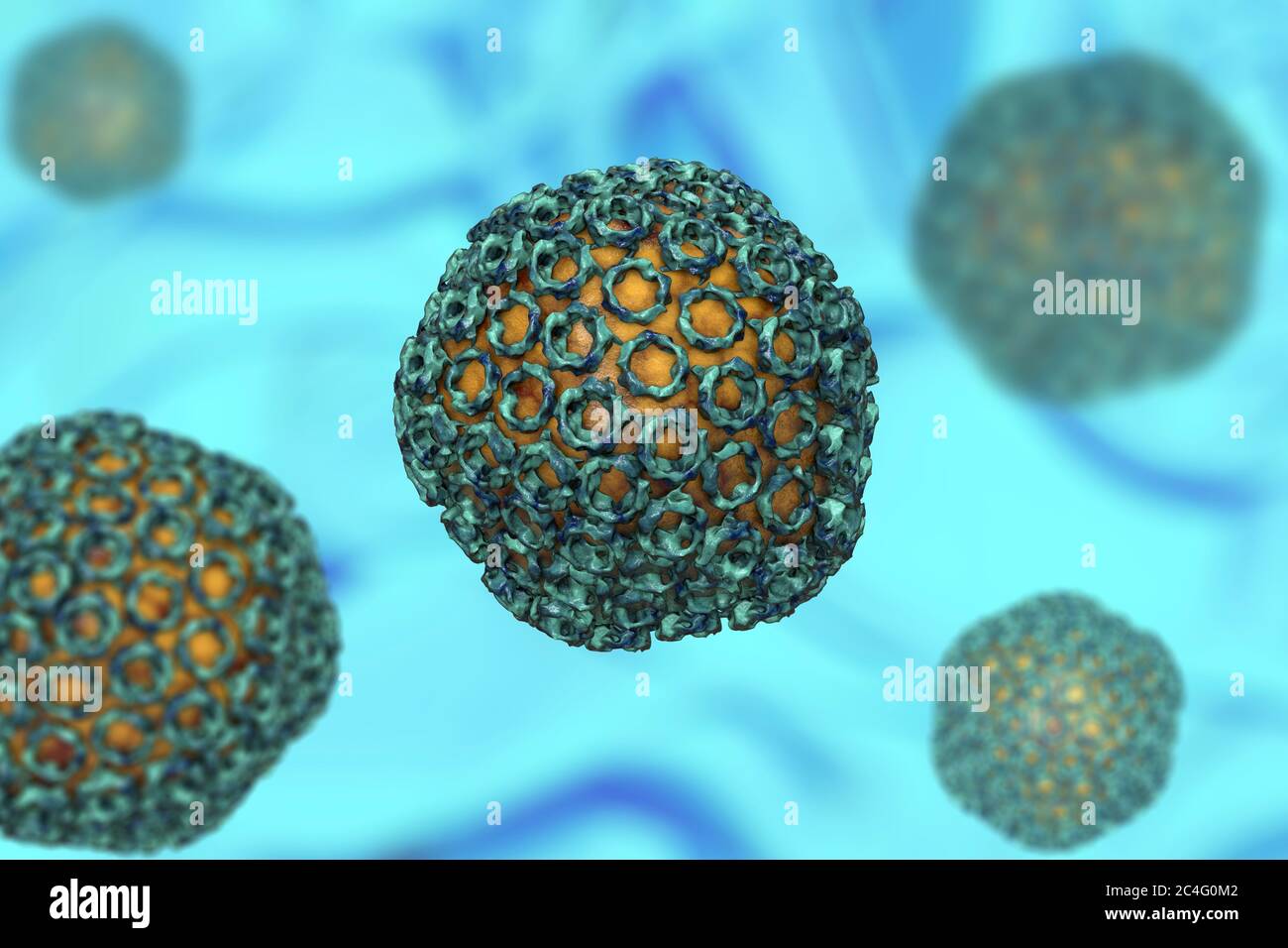 La febbre della valle del Rift, particelle di virus, illustrazione del computer. Questa particella di virus consiste di un RNA (acido ribonucleico) genoma racchiuso in un capside proteico, che è a sua volta circondato da un inviluppo di glicoproteina. Febbre della valle del Rift si verifica in Africa e di infettare gli esseri umani, bovini, pecore, roditori e altre specie. Esso è trasmesso da insetti, soprattutto di zanzare e provoca brividi, febbre, mal di testa e congiunte e dolore muscolare. Raramente è fatale, ma può causare emorragie retiniche che può portare alla compromissione. Foto Stock