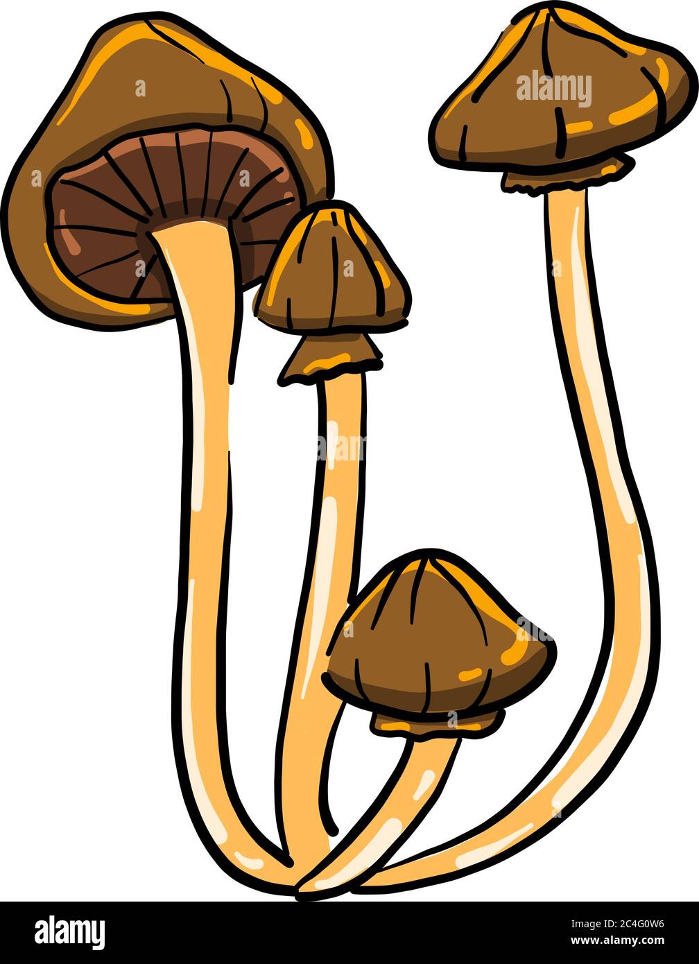 Funghi marroni, illustrazione, vettore su sfondo bianco Illustrazione Vettoriale