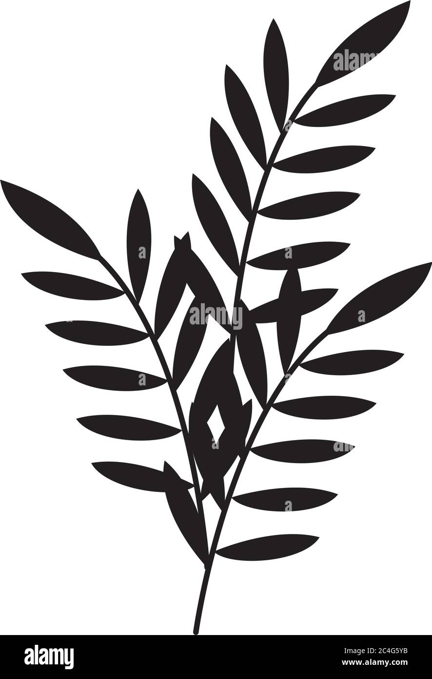 fogliame foglie natura rami in silhouette stile isolato icona vettore illustrazione Illustrazione Vettoriale