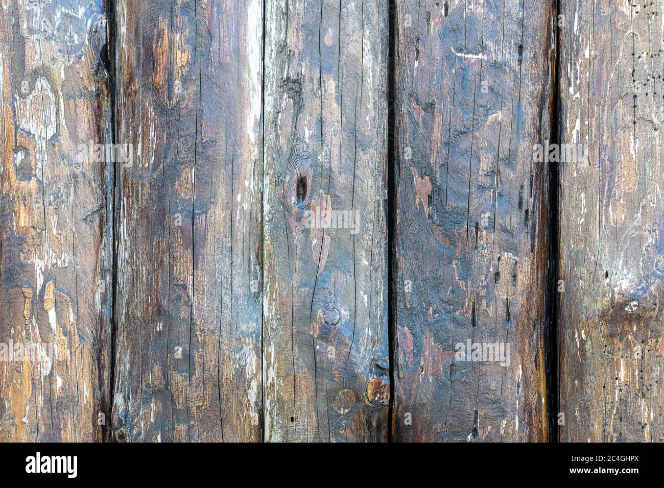 Sfondo di tessitura di legno. Vista della porta in legno vintage con crepe. Superficie marrone chiaro di legno annodato vecchio con colore naturale, struttura e motivo Foto Stock