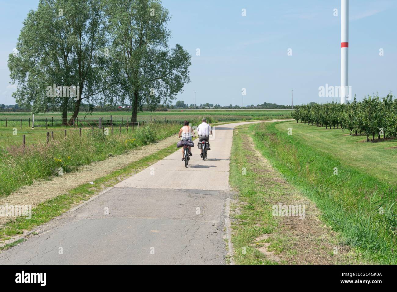 Sint Gillis WAAS, Belgio, 18 giugno 2019, coppia anziana che cavalcano le loro biciclette su una strada di campagna deserta Foto Stock