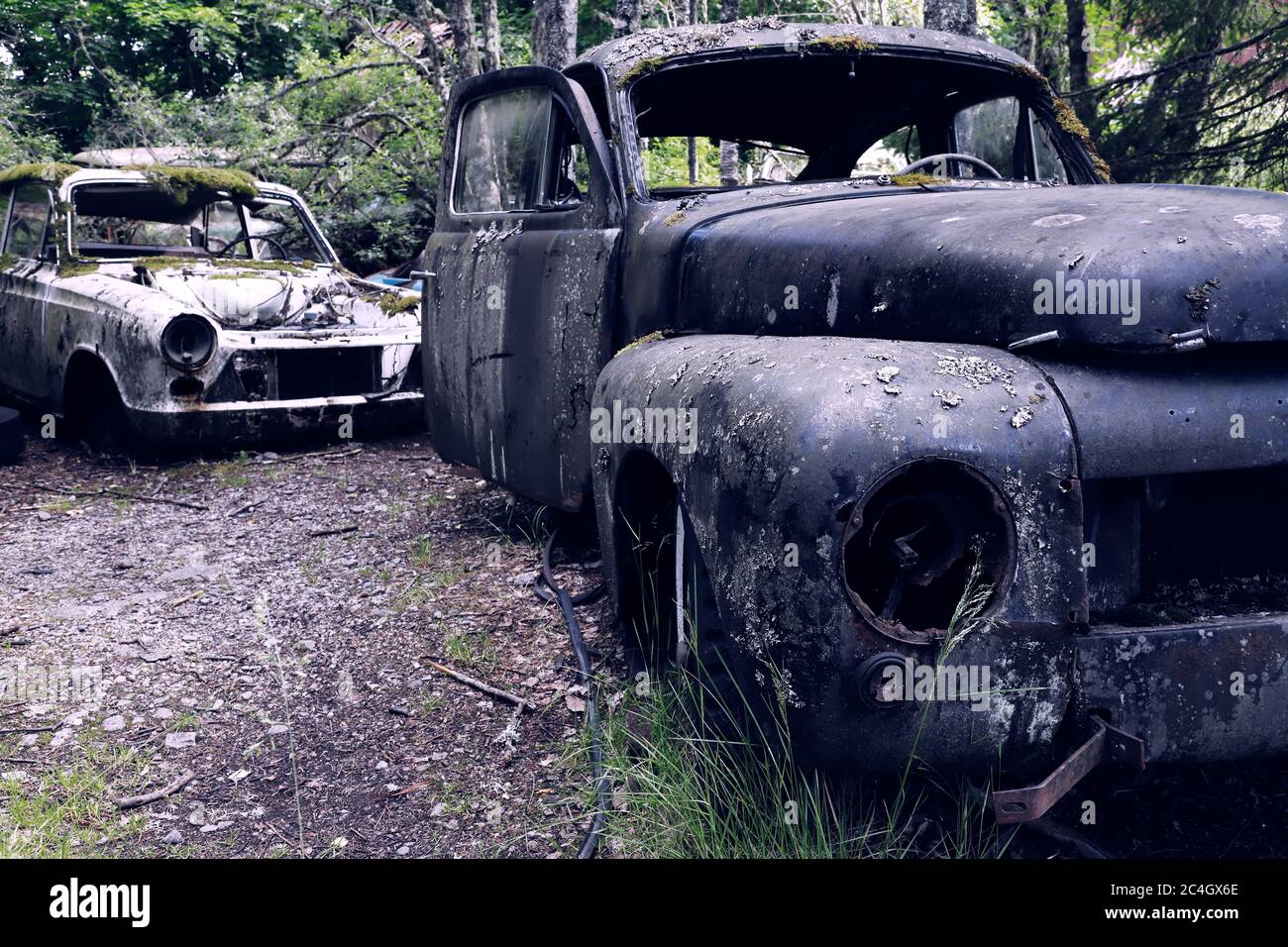 Le automobili abbandonate nella foresta formano un cimitero di automobile. Foto Stock