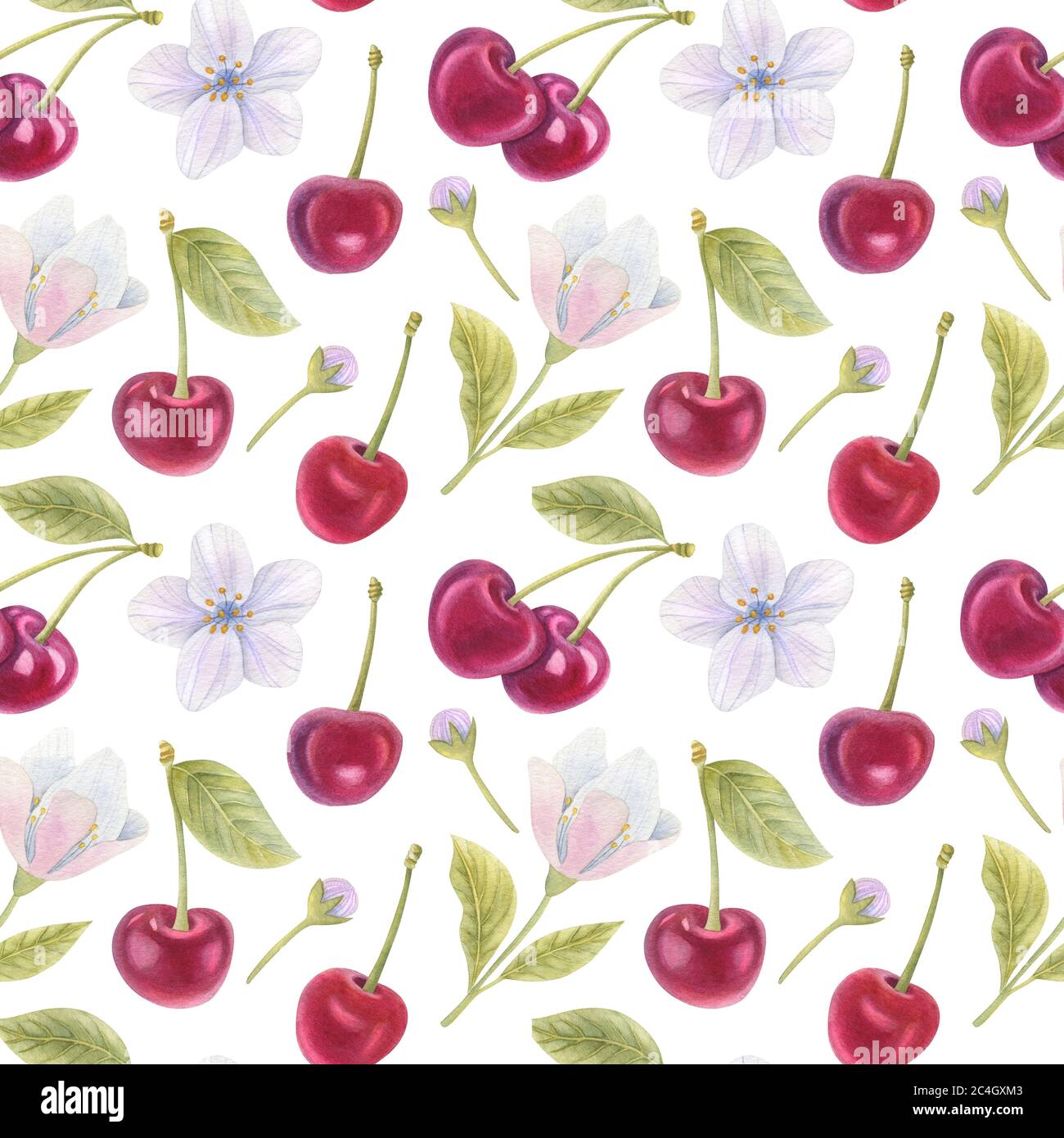 Motivo senza cuciture acquerello con ciliegie, fiori e foglie sullo sfondo chiaro. Illustrazione dell'acquerello di bacche luminoso. Foto Stock