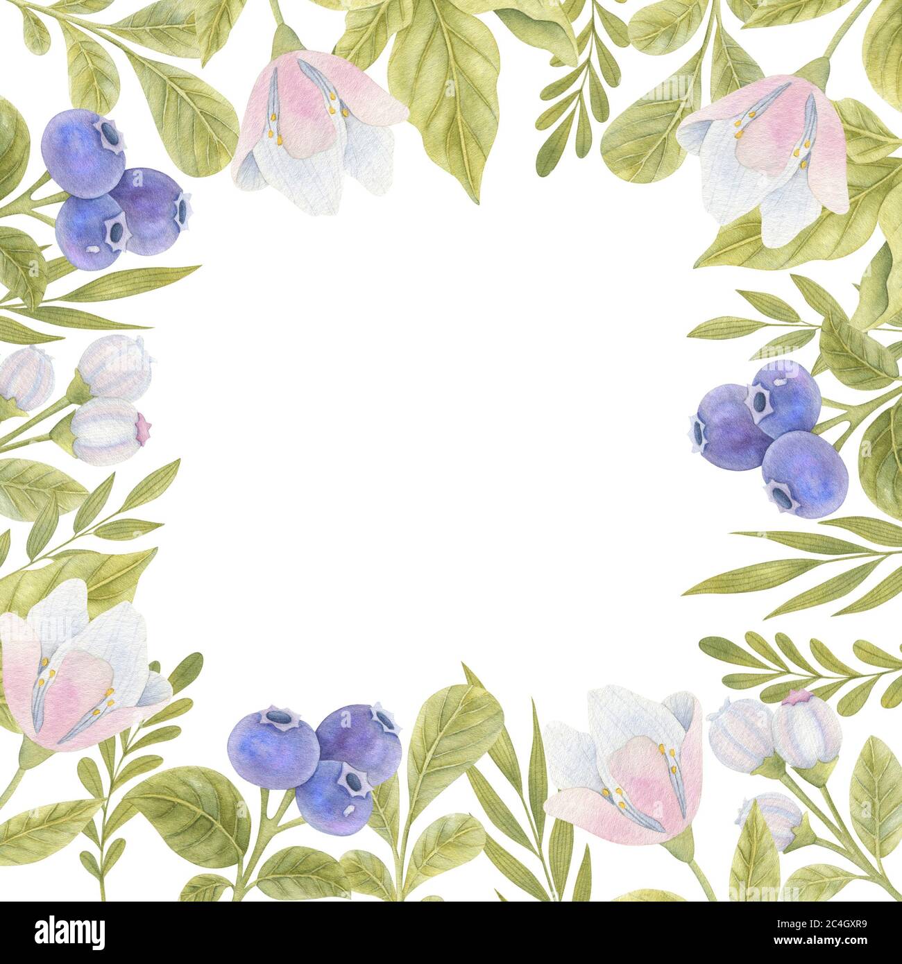 Cornice acquerello con mirtilli, fiori e foglie. Illustrazione luminosa con spazio per il testo. Foto Stock