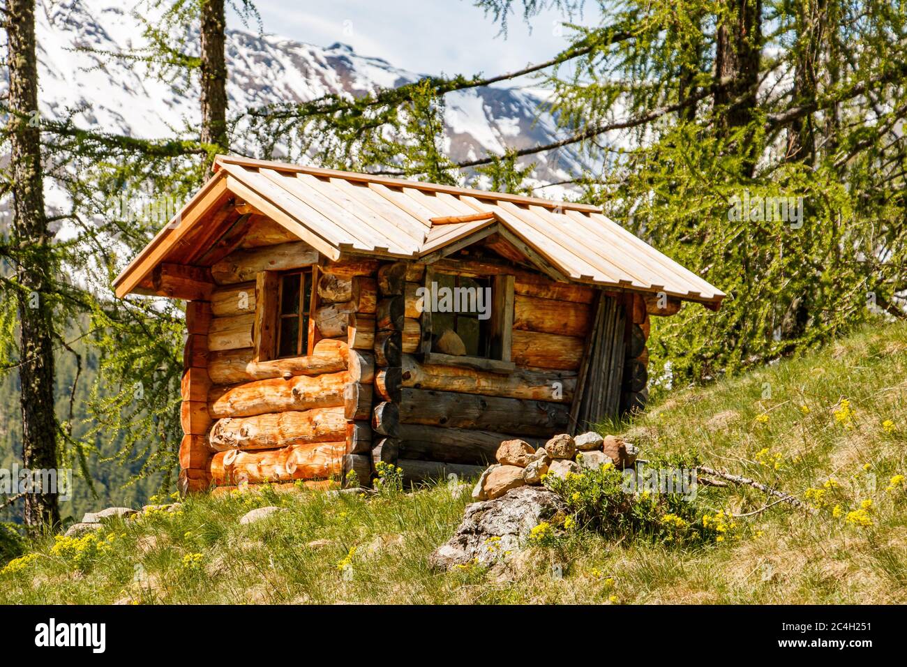 Einsame Blockhütte im Wald Foto Stock