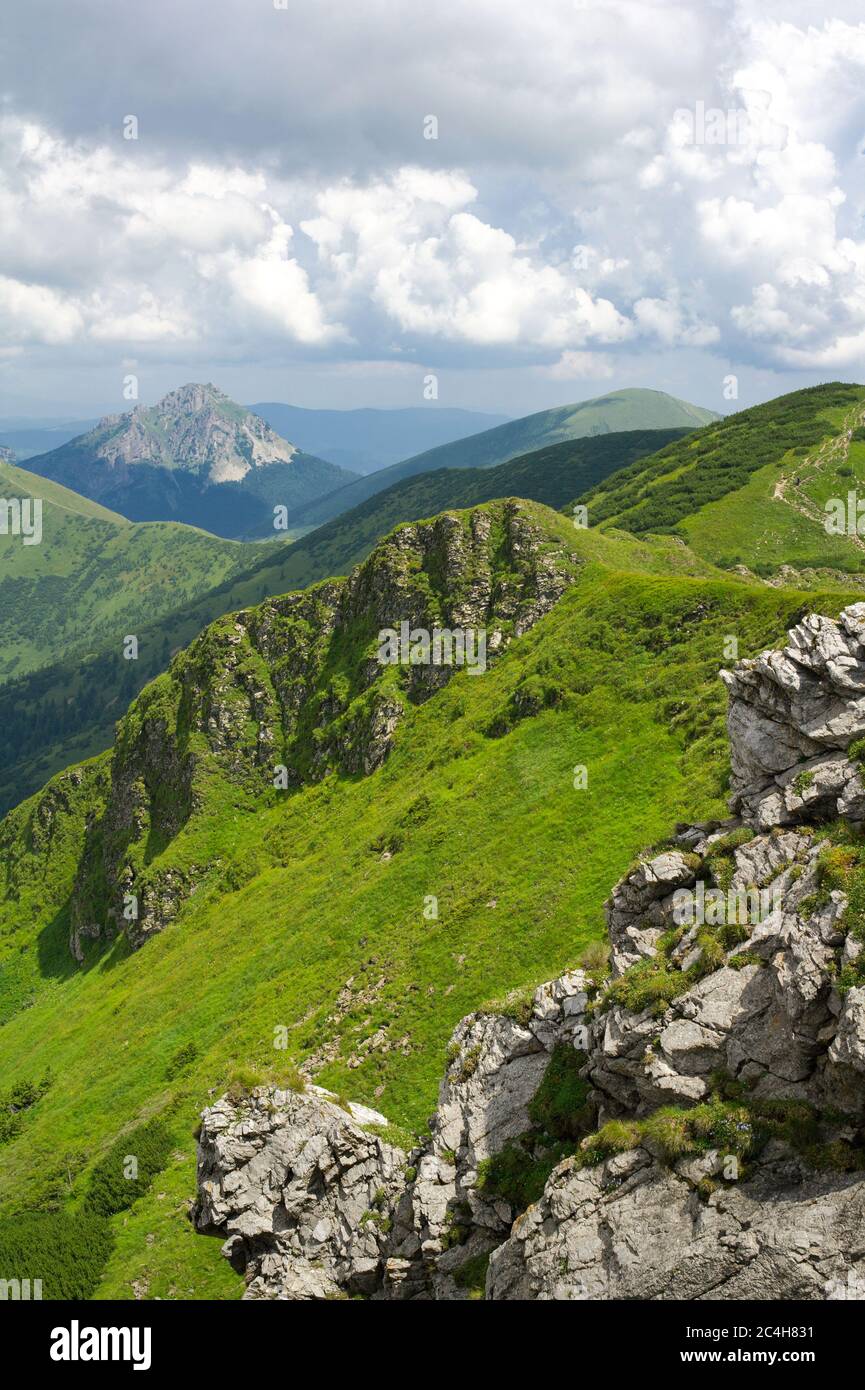 Vista dal monte Chleb, Velky Rozstutec sullo sfondo, Mala Fatra (Carpazi), Slovacchia, Europa Foto Stock