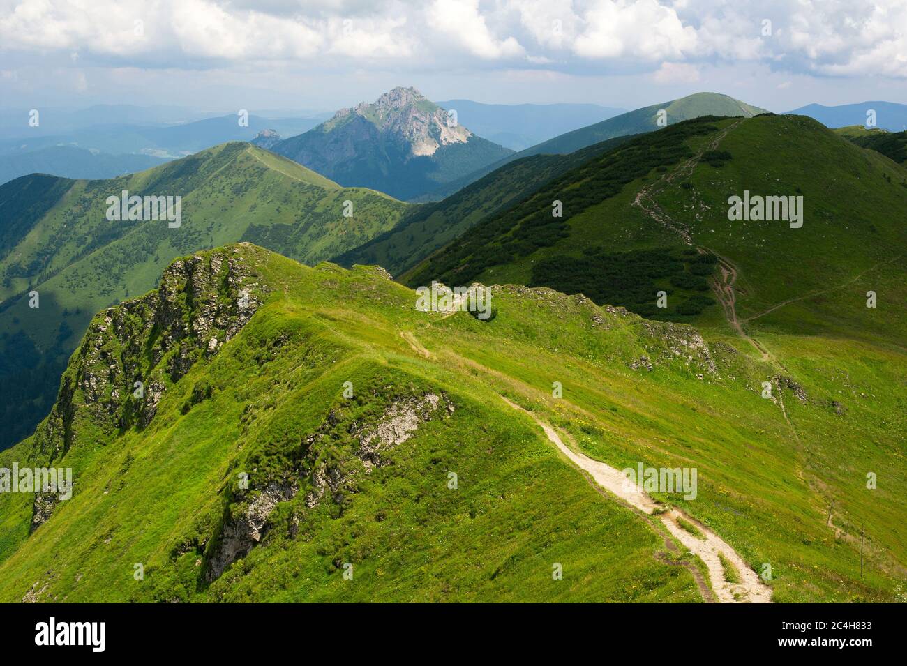 Vista dal monte Chleb, Velky Rozsutec sullo sfondo, Mala Fatra catena montuosa ( Carpazi ), Slovacchia, Europa Foto Stock
