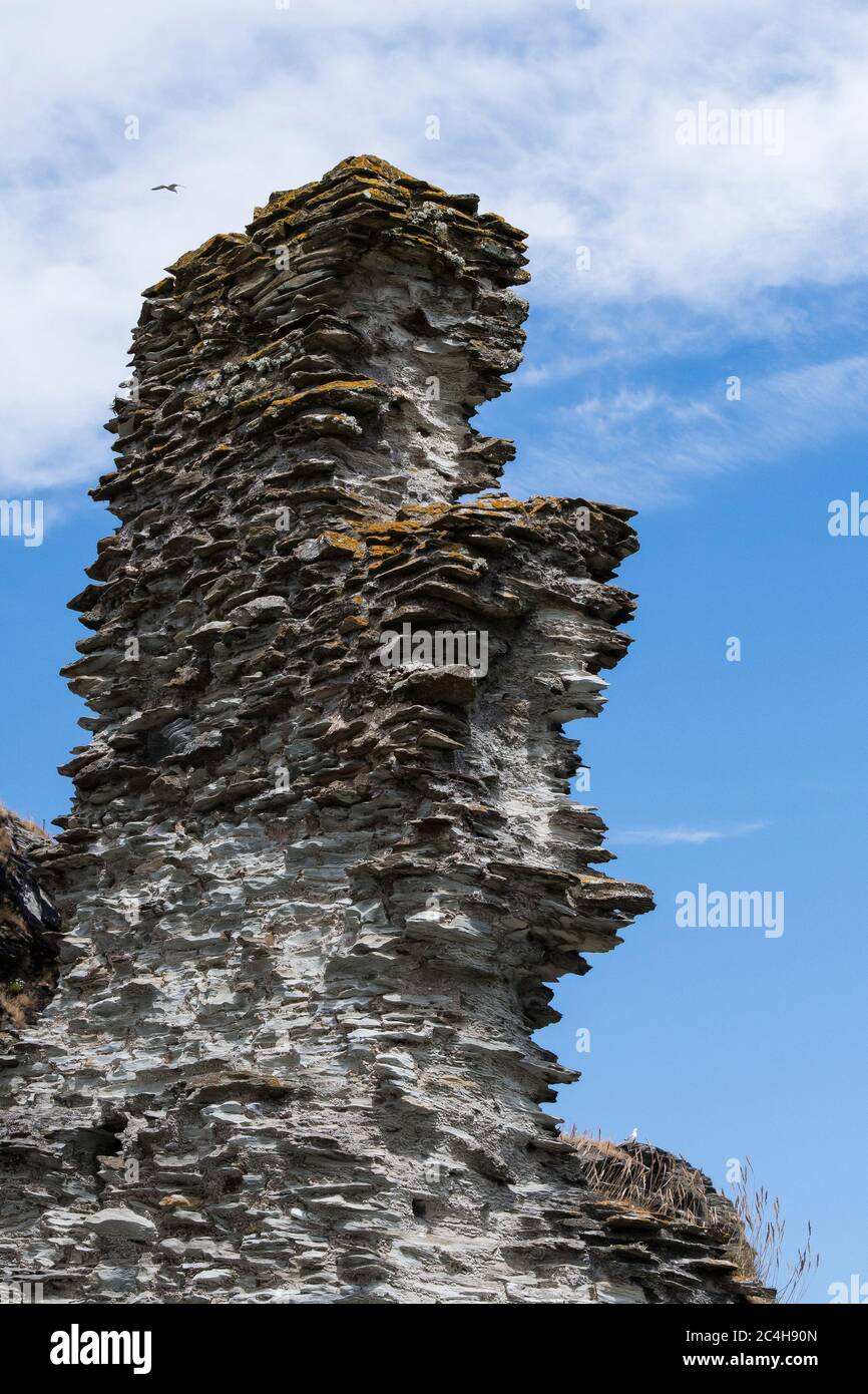 National Trust - Glebe Cliff a Tintagel in Cornovaglia in Inghilterra Foto Stock