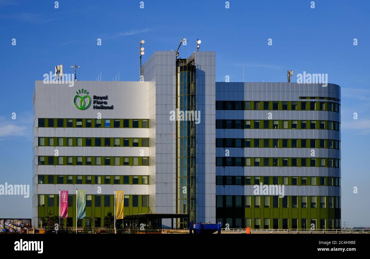 Honselersdijk, Paesi Bassi, giugno 24,2020: Sede principale della Flora Holland flower Auction a Honselersdijk, Naaldwijk. Con testo del logo e bandiere. Foto Stock