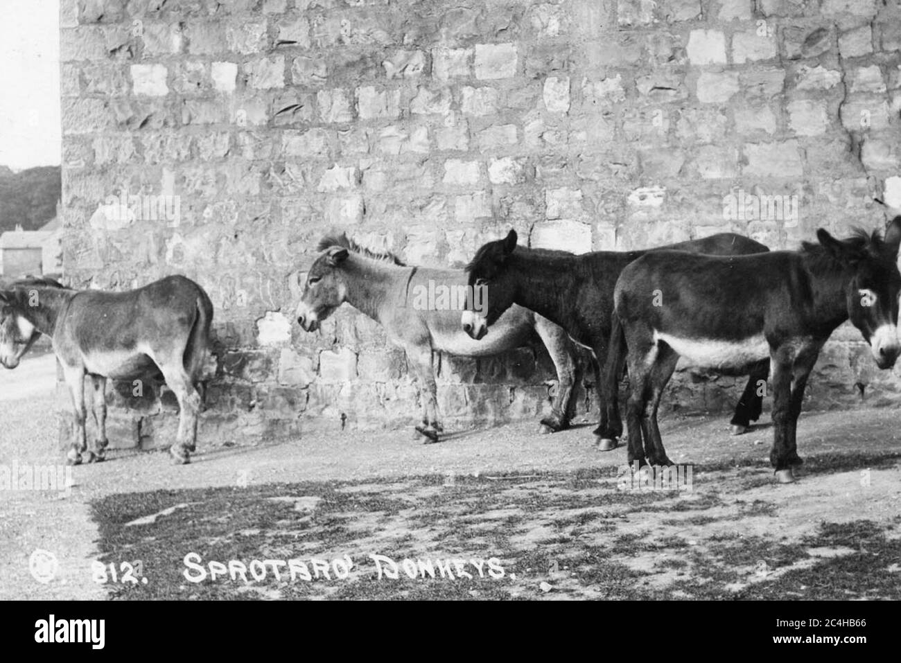 Sprotbrough Foto Stock