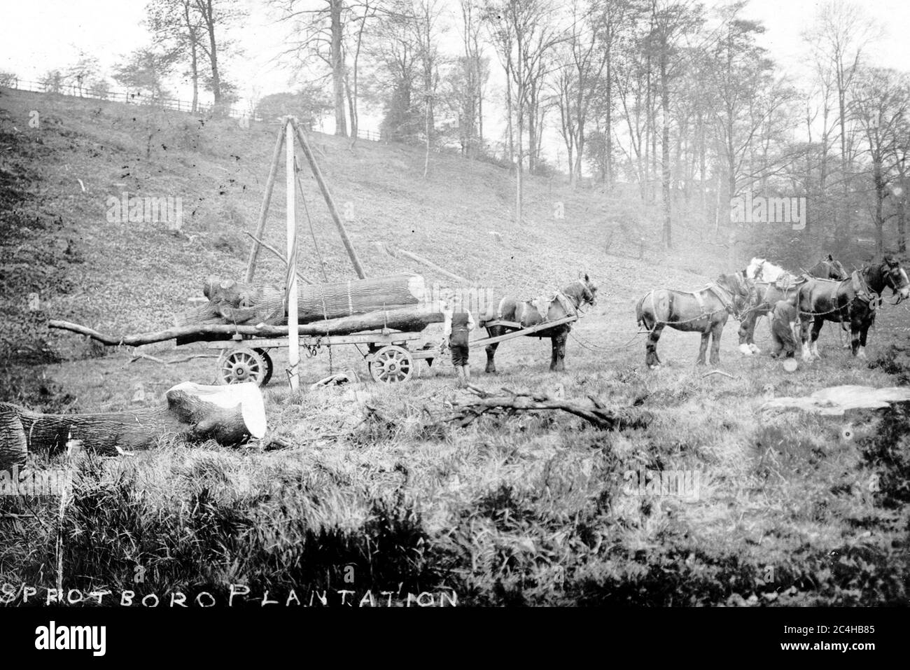 Sprotbrough Foto Stock