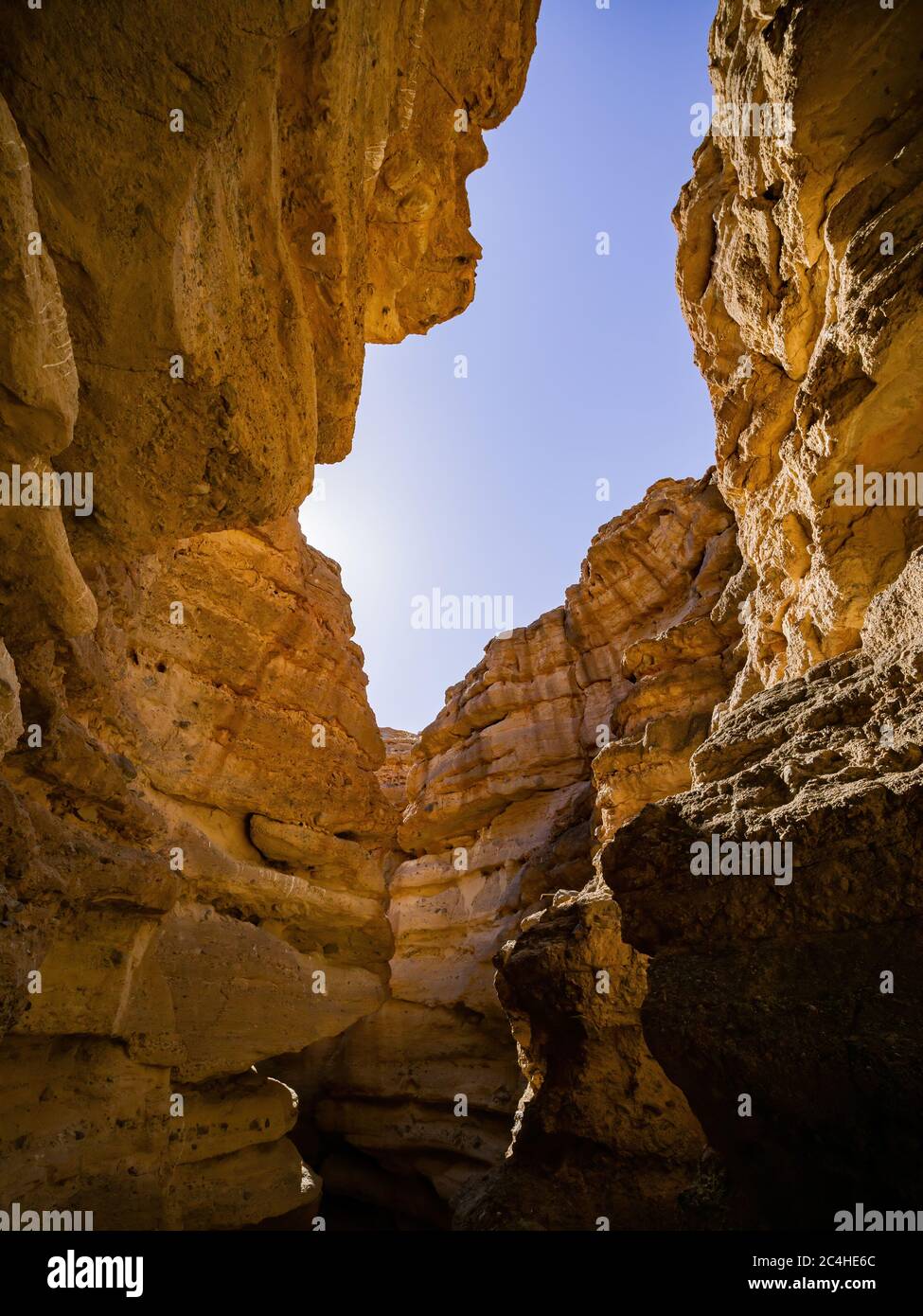 Splendido paesaggio lungo il famoso sentiero White Owl Canyon al lago Mead, Nevada Foto Stock