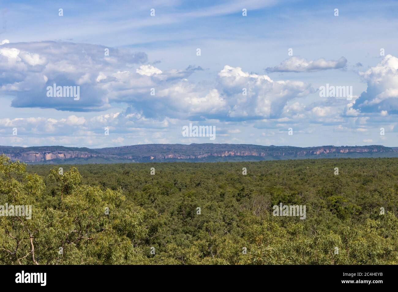 Una scarpata nei territori settentrionali dell'Australia, che torreggia su una foresta pluviale. Foto Stock