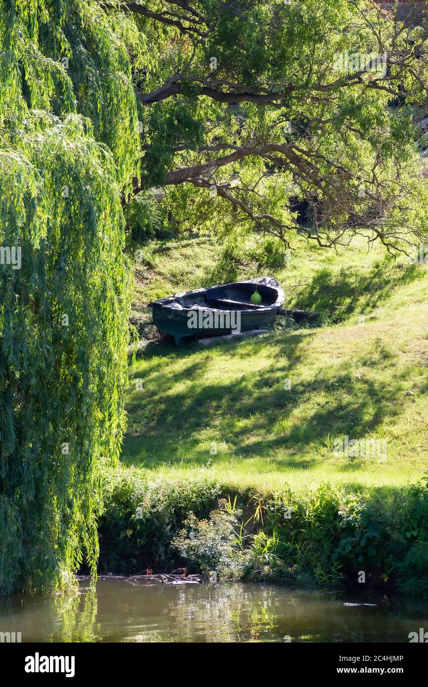 Una barca a canottaggio su una collina erbosa vicino al fiume Medway. Parco nazionale del ponte di teston Foto Stock