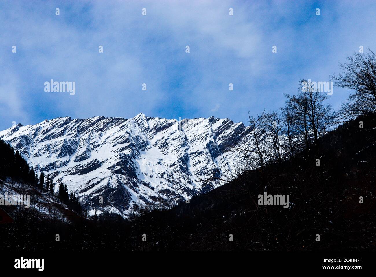 montagna innevata sullo sfondo con montagna coperta di pini sul davanti. fuoco su infinito. Foto Stock