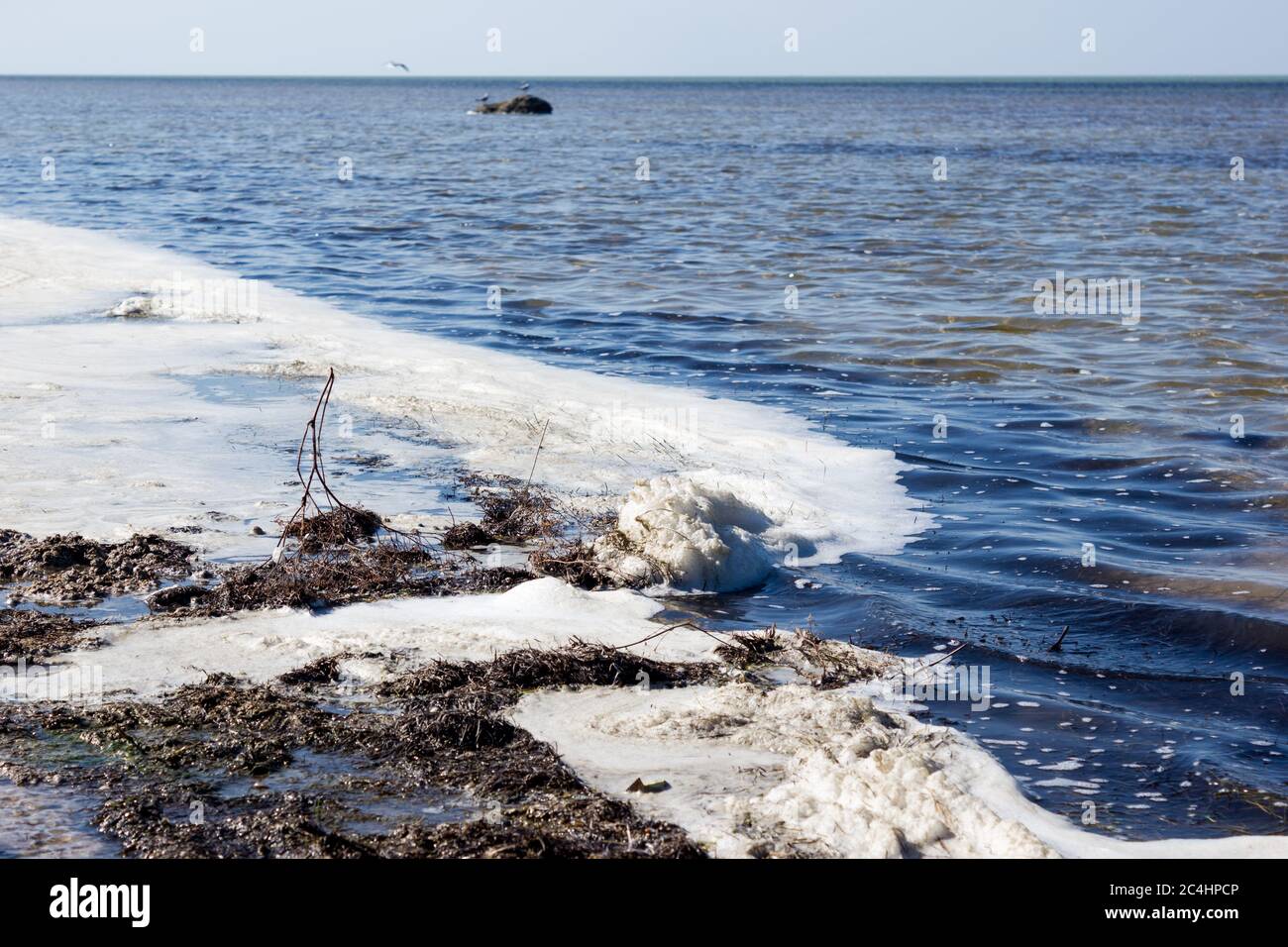 Acque costiere inquinate - estinzione e malattie nel mondo Foto Stock