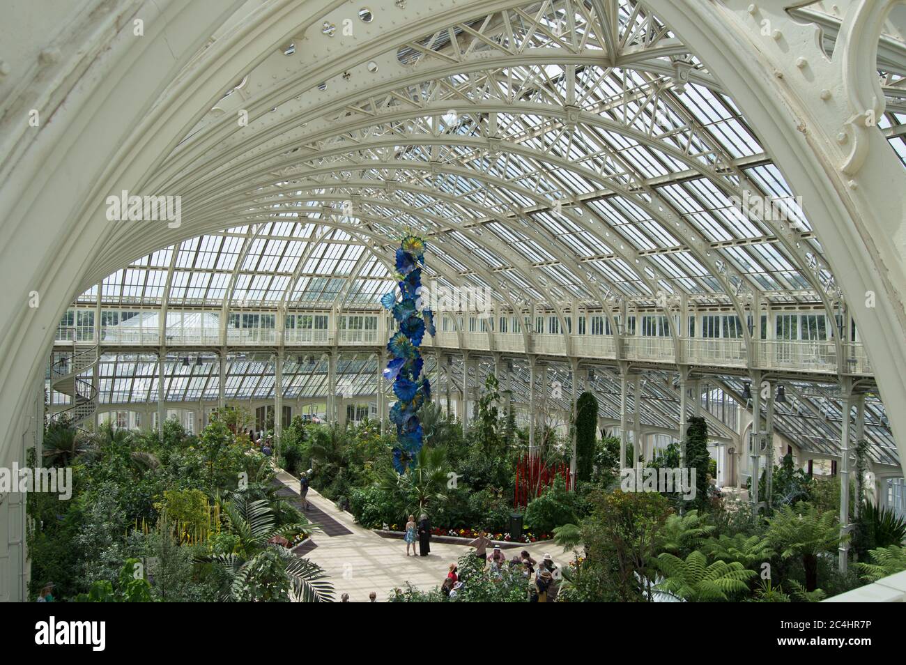 All'interno della Casa del Tempperate, Kew Gardens, Inghilterra Foto Stock