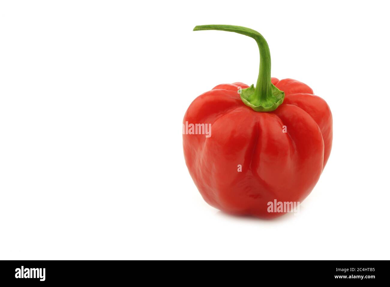 piccante peperone rosso habanero su fondo bianco Foto Stock