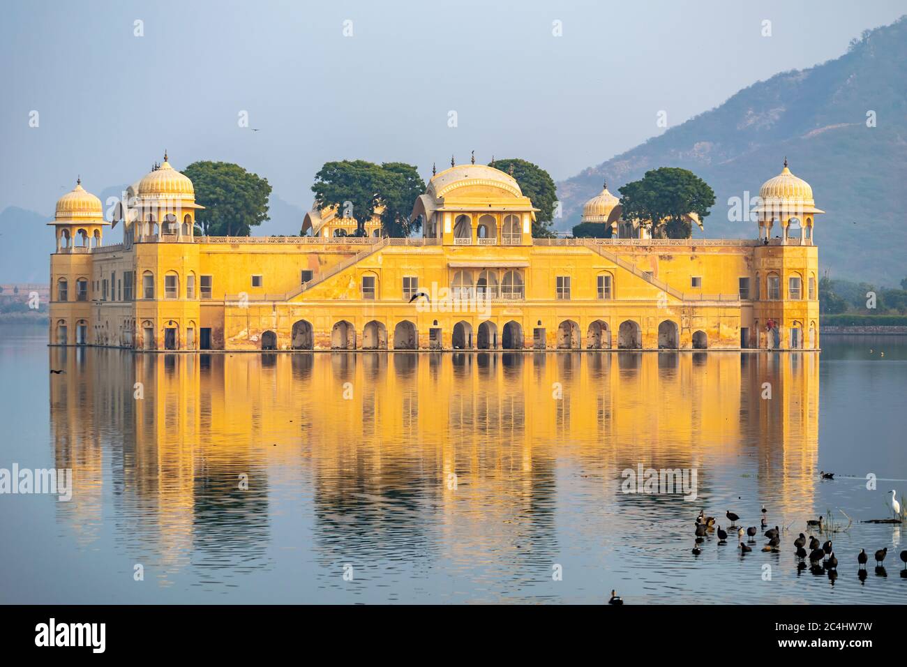 La vista di Jal Mahal con uccelli che nuotano nella parte anteriore, Jaipur, Rajasthan, India Foto Stock