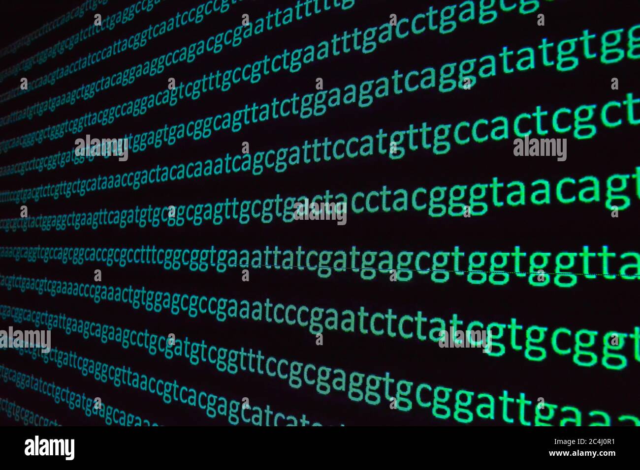 Sequenziamento del genoma. La sequenza di basi nucleotidiche in una molecola di DNA. Foto Stock
