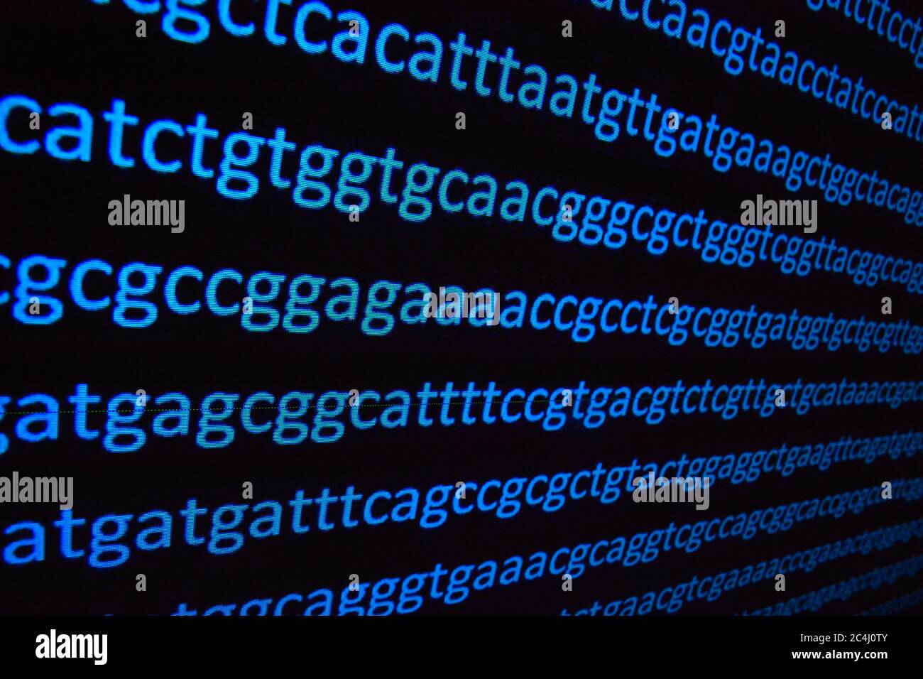 Sequenziamento del genoma. La sequenza di basi nucleotidiche in una molecola di DNA. Foto Stock