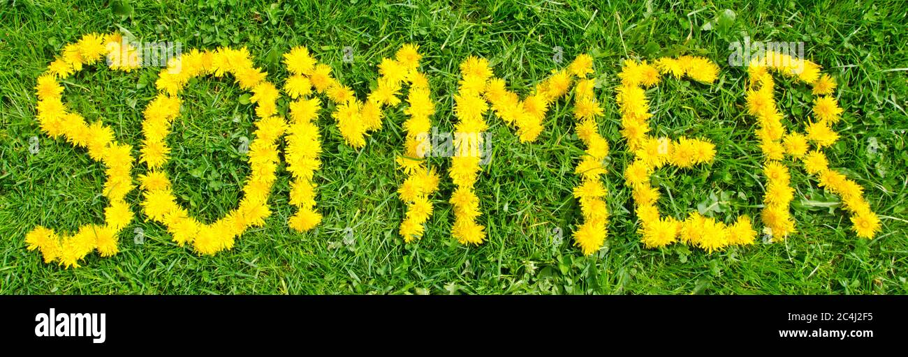 Immagine di bandiera della parola estate (in tedesco ‘Sommer’) scritta con fiori di dente di leone su prato verde Foto Stock