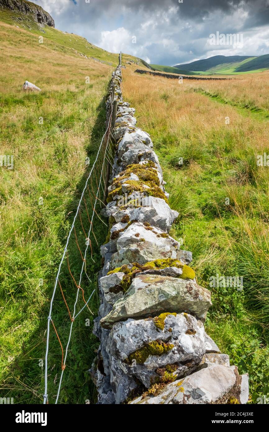 Colline ondulate delle valli dello Yorkshire viste all'interno di pareti rocciose che creano pascolo individuale per pecore pascolo e altri animali. Foto Stock