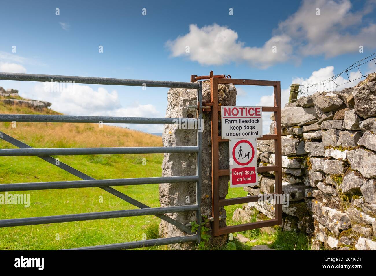 Vista dettagliata dei cartelli di avvertimento all'ingresso a destra della strada nelle Yorkshire Dales. Gli escursionisti del cane devono tenere i cani sui cavi per evitare di spaventare le mucche. Foto Stock