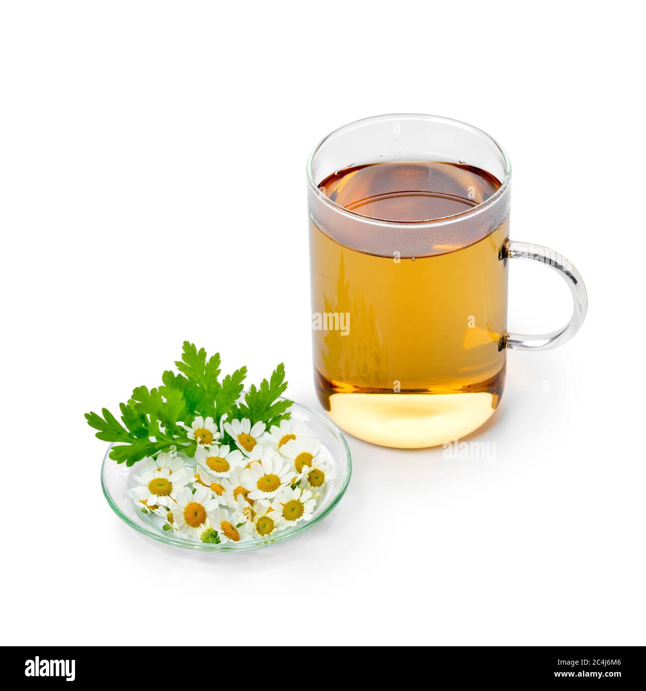 Bicchiere di tè alle erbe con fiori freschi di feverfew su un piatto isolato su sfondo bianco Foto Stock
