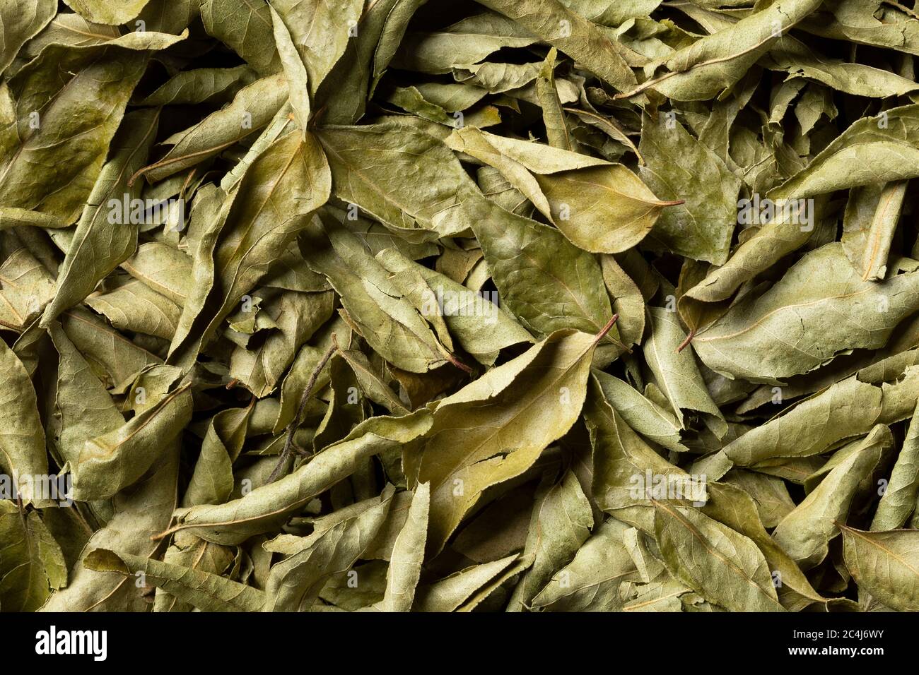 Foglie di curry asciugate vicino su telaio pieno per sfondo Foto Stock